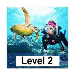 Level 2 course training
